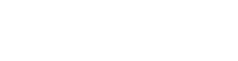 Logo Celimax blanc