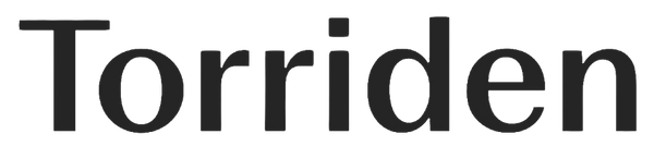 Logo Torriden