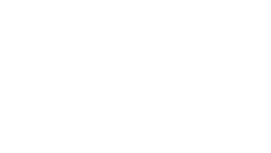 Logo Wellace blanc
