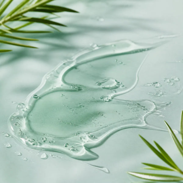 Tea Tree