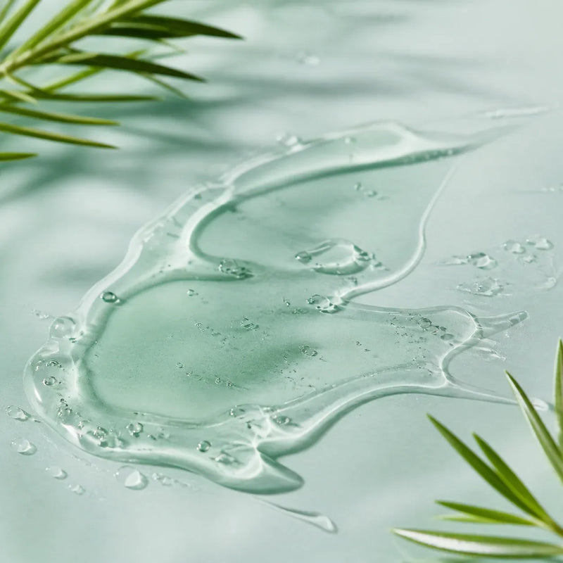 Tea Tree