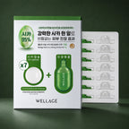 Kit Apaisant Cica One Day WELLAGE sur fond vert profond